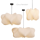 Cirrus Pendant Pendant lamp West Elm