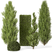 Outdoor Plants Bush-Bush Set 749