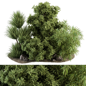 Garden Set Bush Plants - Outdoor Plants Set 407