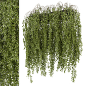 Indoor Hanging Plants in Concrete Box - Set 759