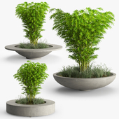 Store plantekasser i betong - Bodil