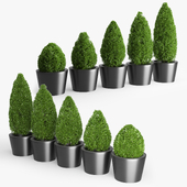 Plantekasser i glassfiber Acer