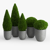 Concrete bush