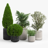 Cozzo Planter stone Yard Inc