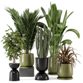 Indoor Plants in Ferm Living Bau Pot Large - Set 819