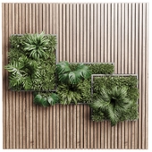 plants set partition in wooden frame- Vertical graden wall decor box 28