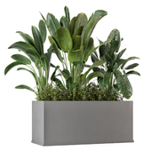 Outdoor Plants in Concrete Pot-Set 922