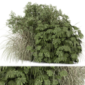 Outdoor Plants Bush-Bush Set 924