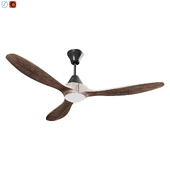 Rayanne Indoor Outdoor Ceiling Fan