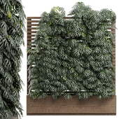 Vertical Garden 01 - Swiss Cheese Plant