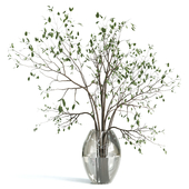 Branches plant with galss vase white - bouquet 24