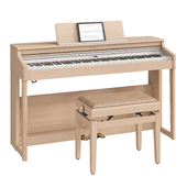 Roland RP 701