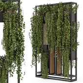 Indoor Hanging Plants in Metal Stand - Set 1005