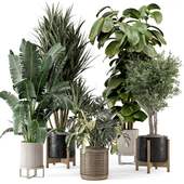 Indoor Plants in Ferm Living Bau Pot Large - Set 1070