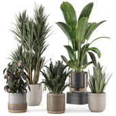 Indoor Plants in Ferm Living Bau Pot Large - Set 1072