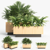 Office planter