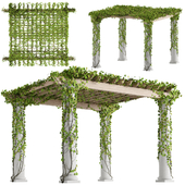 Classic pergola with ivy v1