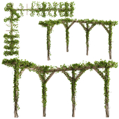 Pergola with Ivy v8