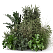 Outdoor Plants Bush -Bush Set 1107