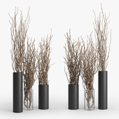 Dry Branch