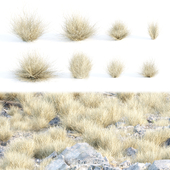 Lowpoly wild dry grass collection vol 160