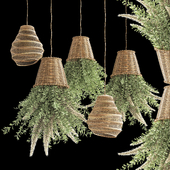 pendant plant light hanging 02