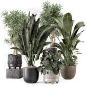 Indoor Plants  in rusty Concrete Pot - Set 1332