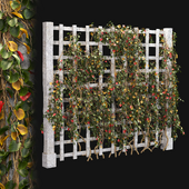 Green wall series-2