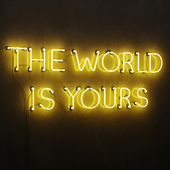 The World Is Yours Neon Light