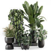 Indoor Plants in Ferm Living Bau Pot Large - Set 1399