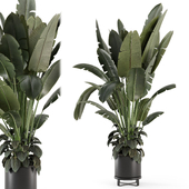 Indoor Plants in Ferm Living Bau Pot Large - Set 1413