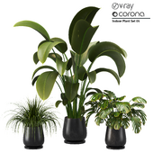 Indoor Plant Set 05