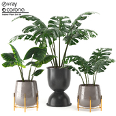 Indoor Plant Set 09