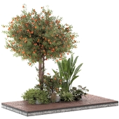 Garden Tree and Bush Set