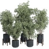 indoor plant set 381 tree bush concrete dirt vase