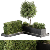 Plant Box Garden - Outdoor Plants 540