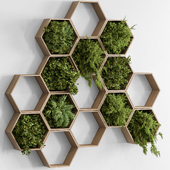 Hexagon Green Wall Panel - Set 80