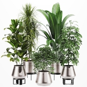 Plants Set 45