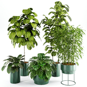 Indoor plant set 27