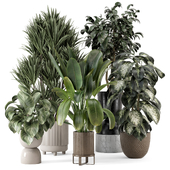 Indoor Plants in Ferm Living Bau Pot Large - Set 1631