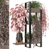 indoor hanging plants in metal shelf_ Set 963