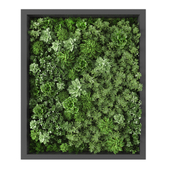 Vertical garden 226