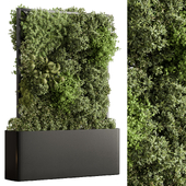 Plant Case - Outdoor Plants 560