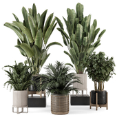 Indoor Plants in Ferm Living Bau Pot Large - Set 1701