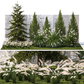 A collection of garden plants with bushes and large-sized trees for landscape design with thuja, cypress, spruce, fir, Miscanthus, grass grass, white Cortaderia. Set 1387.