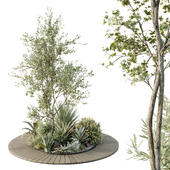 HQ Tree and bush garden box outdoor  VOL 15