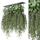 indoor hanging plants in metal box_  Set 1045