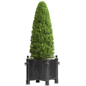 Decorative tree in garden planter Restoration Hardware ArtDeco.Front Entrance Doors Tree Patio Porch Balcony.Boxwood Shrubs Topiary in Cache Pot