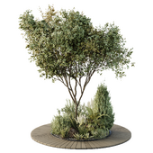 HQ Tree and bush garden box outdoor  VOL 16