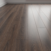 Laminate. Parquet. Board. 5